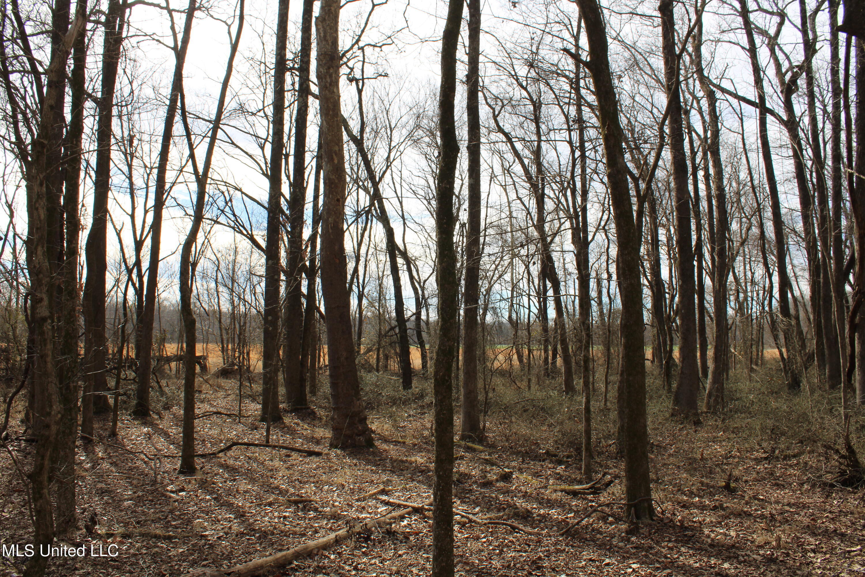 2167 Hogan Road Holly Springs, MS 38635 - Photo 10 of 22 IMG_3083