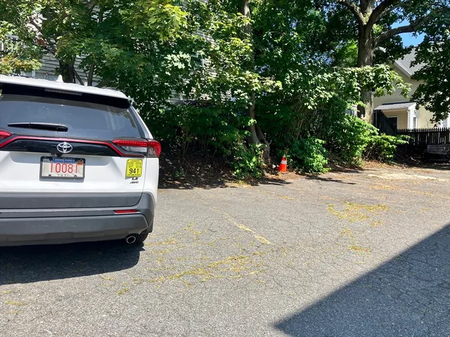 a view of roof deck with two couches and a large tree