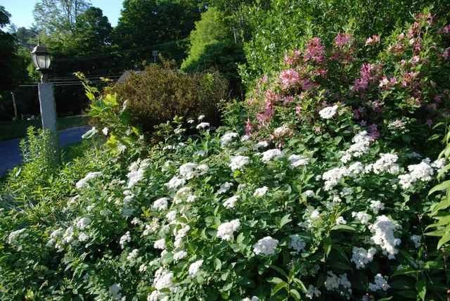 $1,800 | 285 East Side Drive, Concord, NH 03301