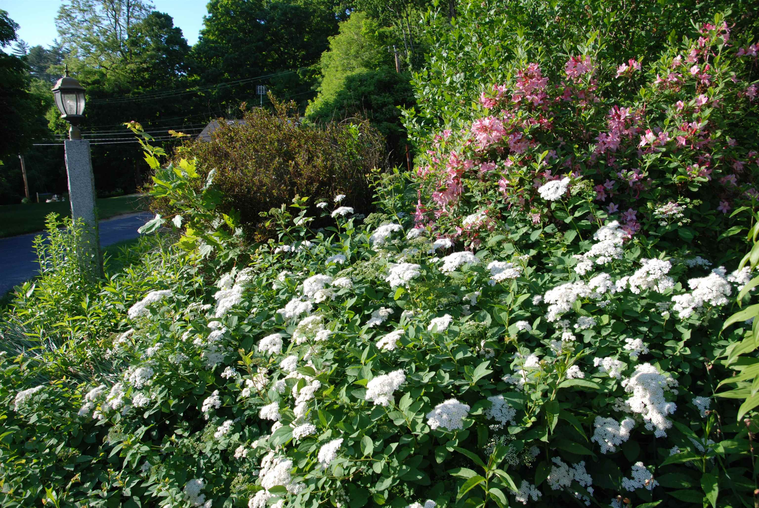 285 East Side Drive Concord, NH 03301 - Photo 4 of 19