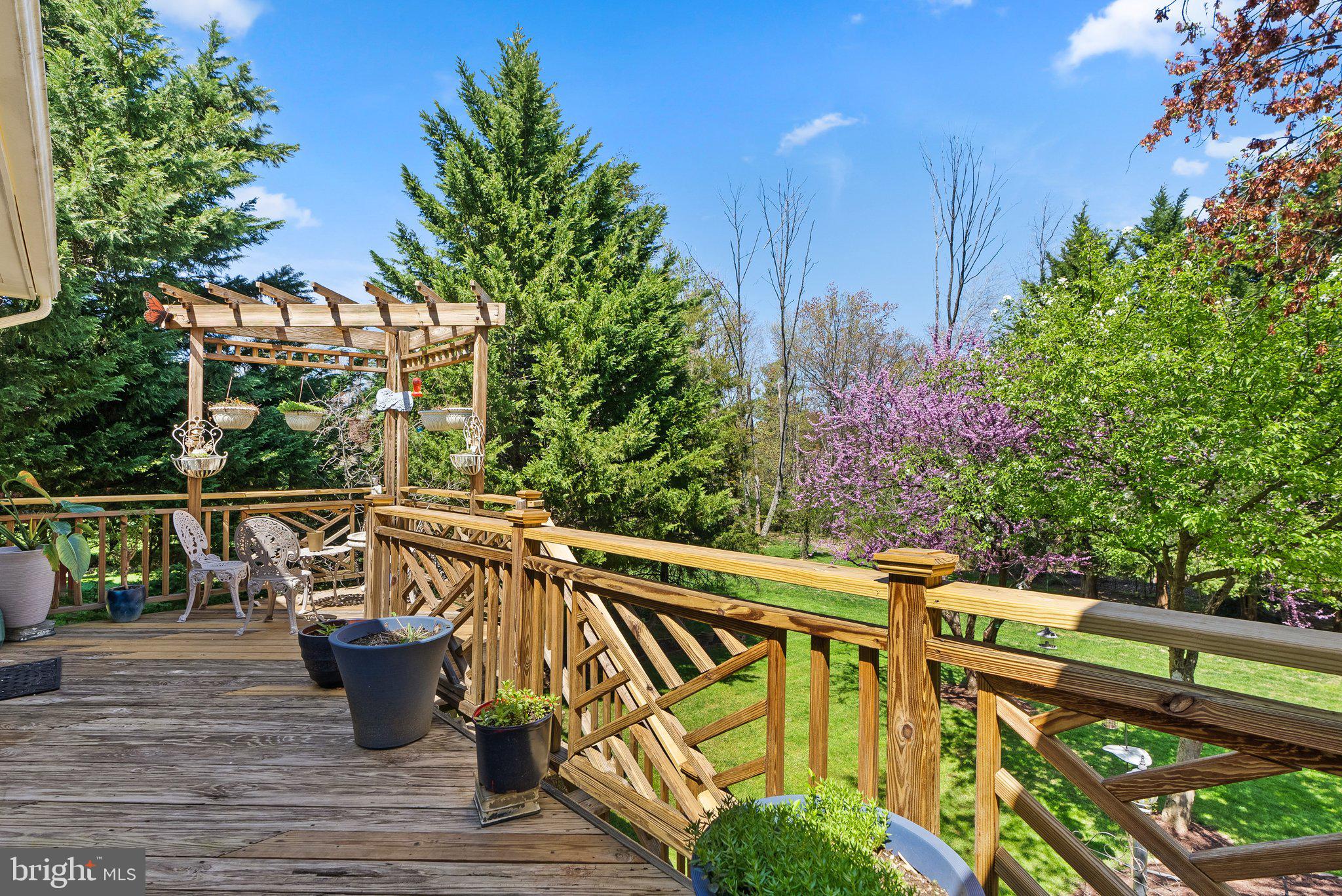 17331 Buehler Road Olney, MD 20832 - Photo 8 of 31 Gallery Image 8