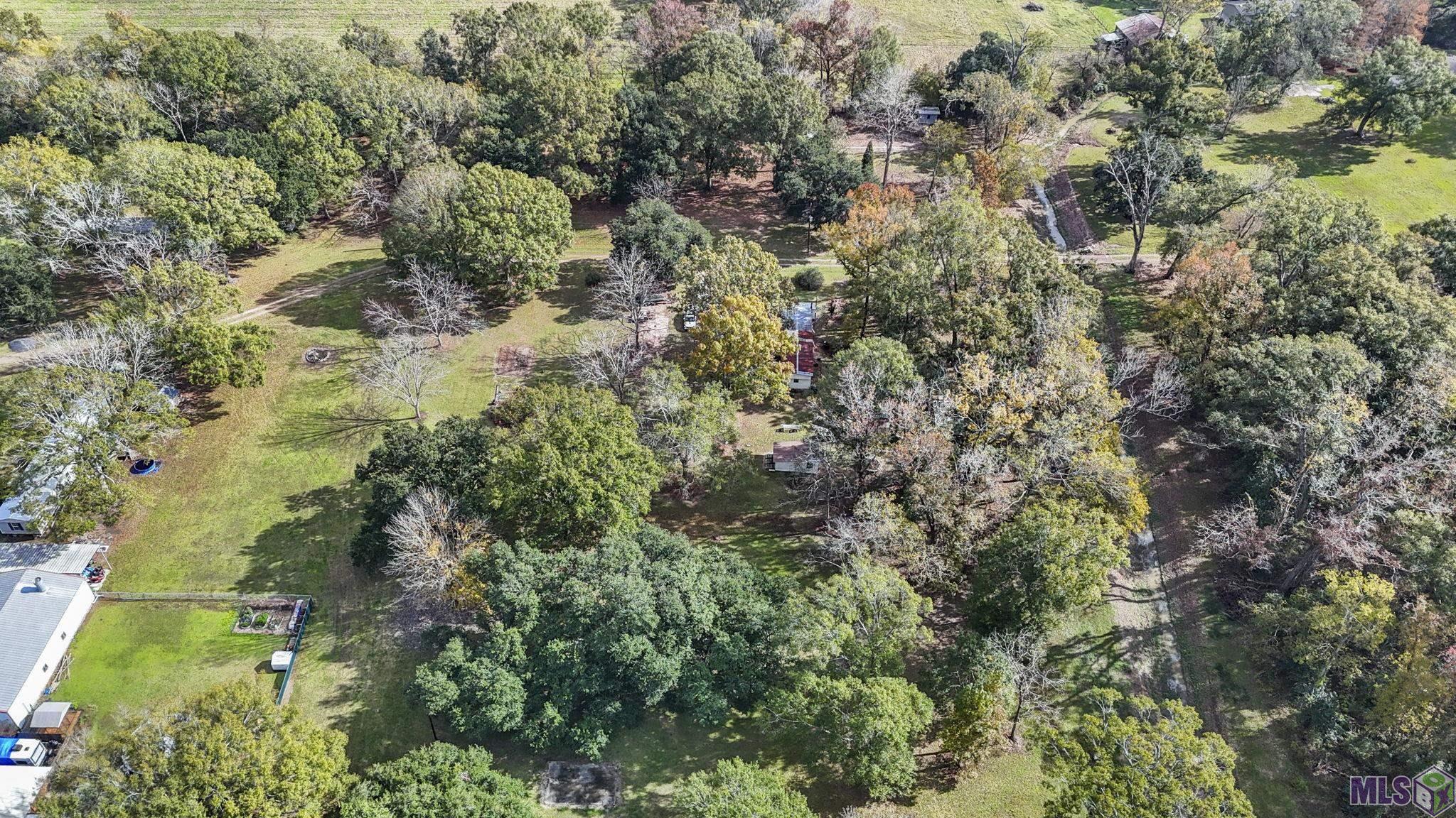 12338 Chester Diez Road Gonzales, LA 70737 - Photo 12 of 21