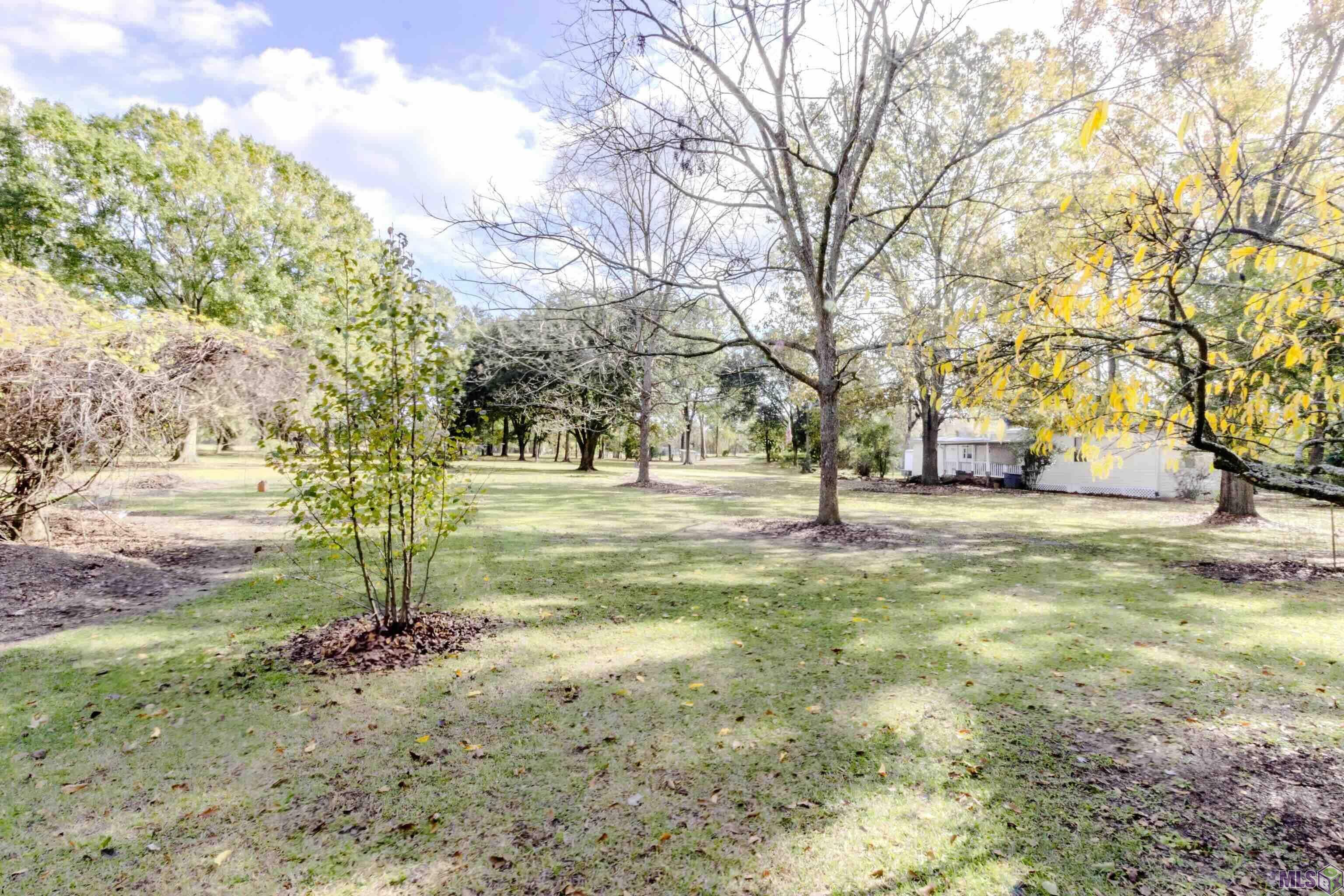 12338 Chester Diez Road Gonzales, LA 70737 - Photo 6 of 21