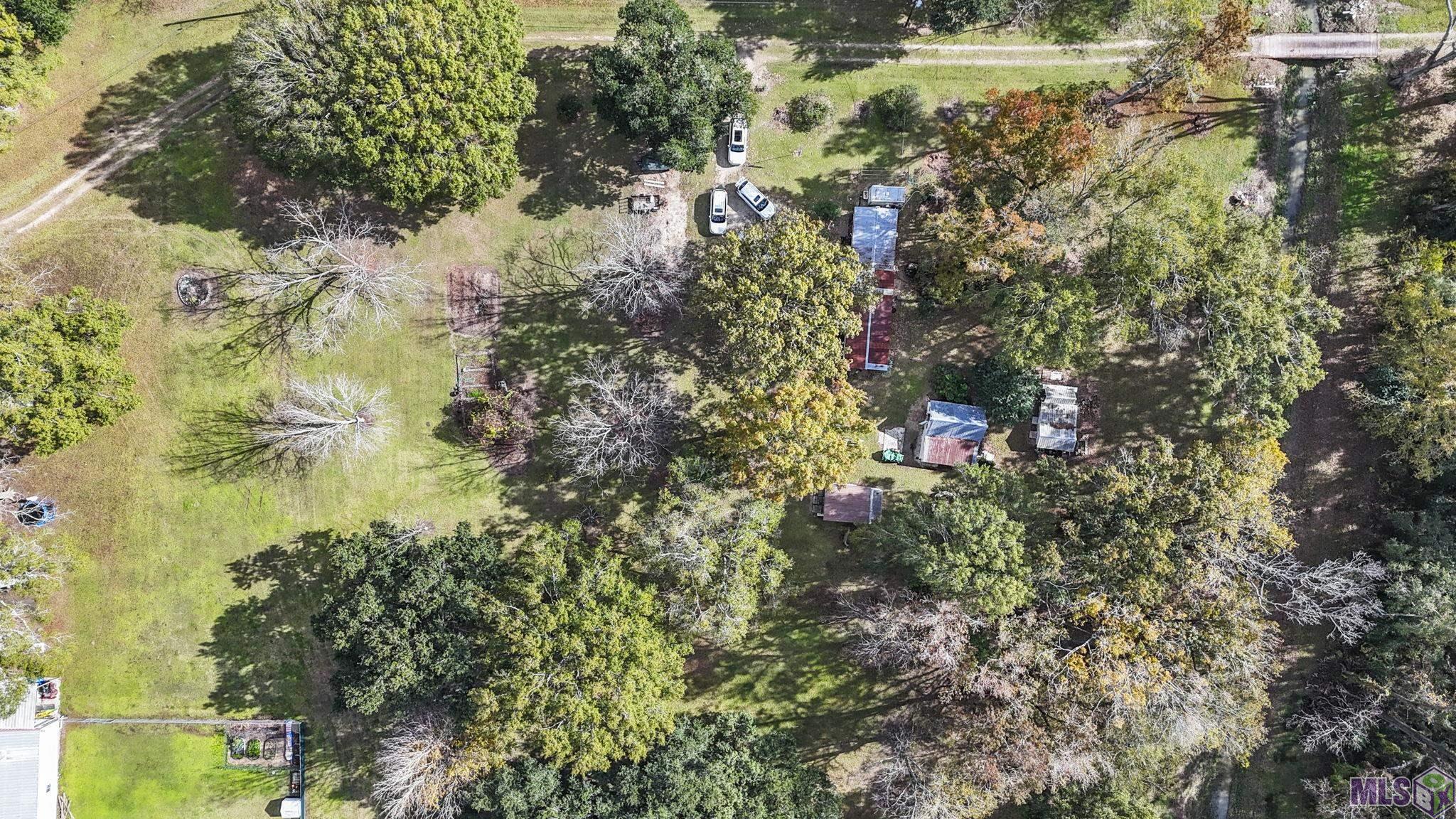 12338 Chester Diez Road Gonzales, LA 70737 - Photo 9 of 21