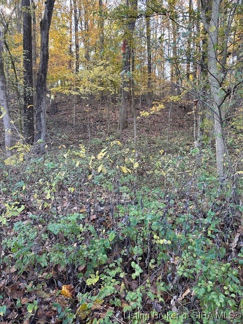 56 East State Road Paoli, IN 47454 - Photo 3 of 9