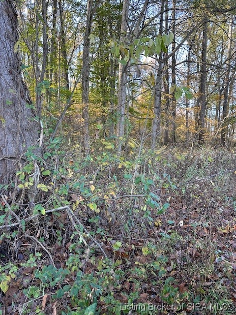 56 East State Road Paoli, IN 47454 - Photo 4 of 9