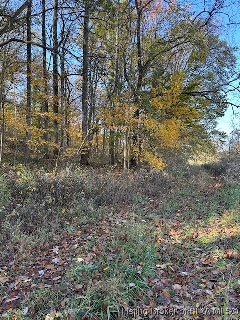 56 East State Road Paoli, IN 47454 - Photo 4 of 8