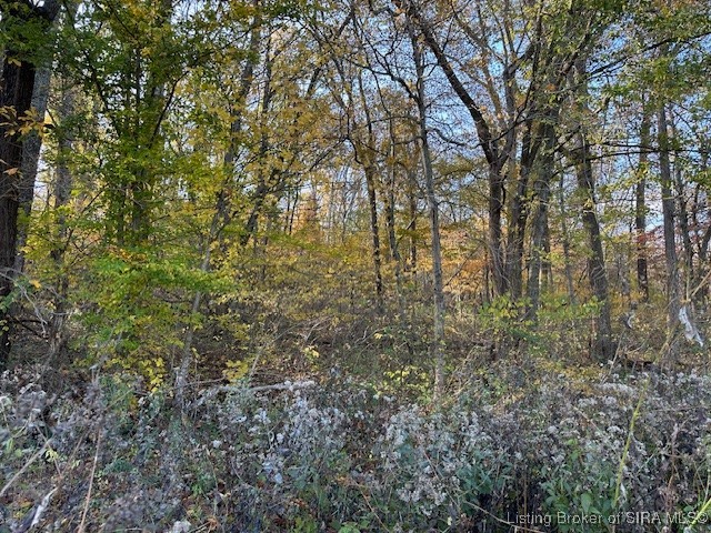 56 East State Road Paoli, IN 47454 - Photo 6 of 9