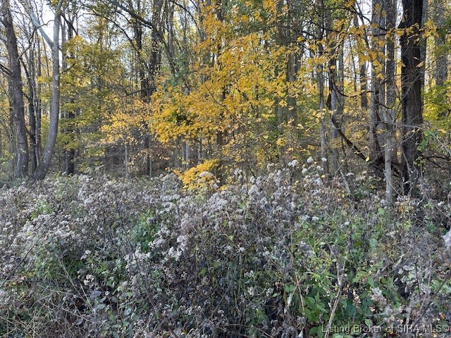 56 East State Road Paoli, IN 47454 - Photo 7 of 8