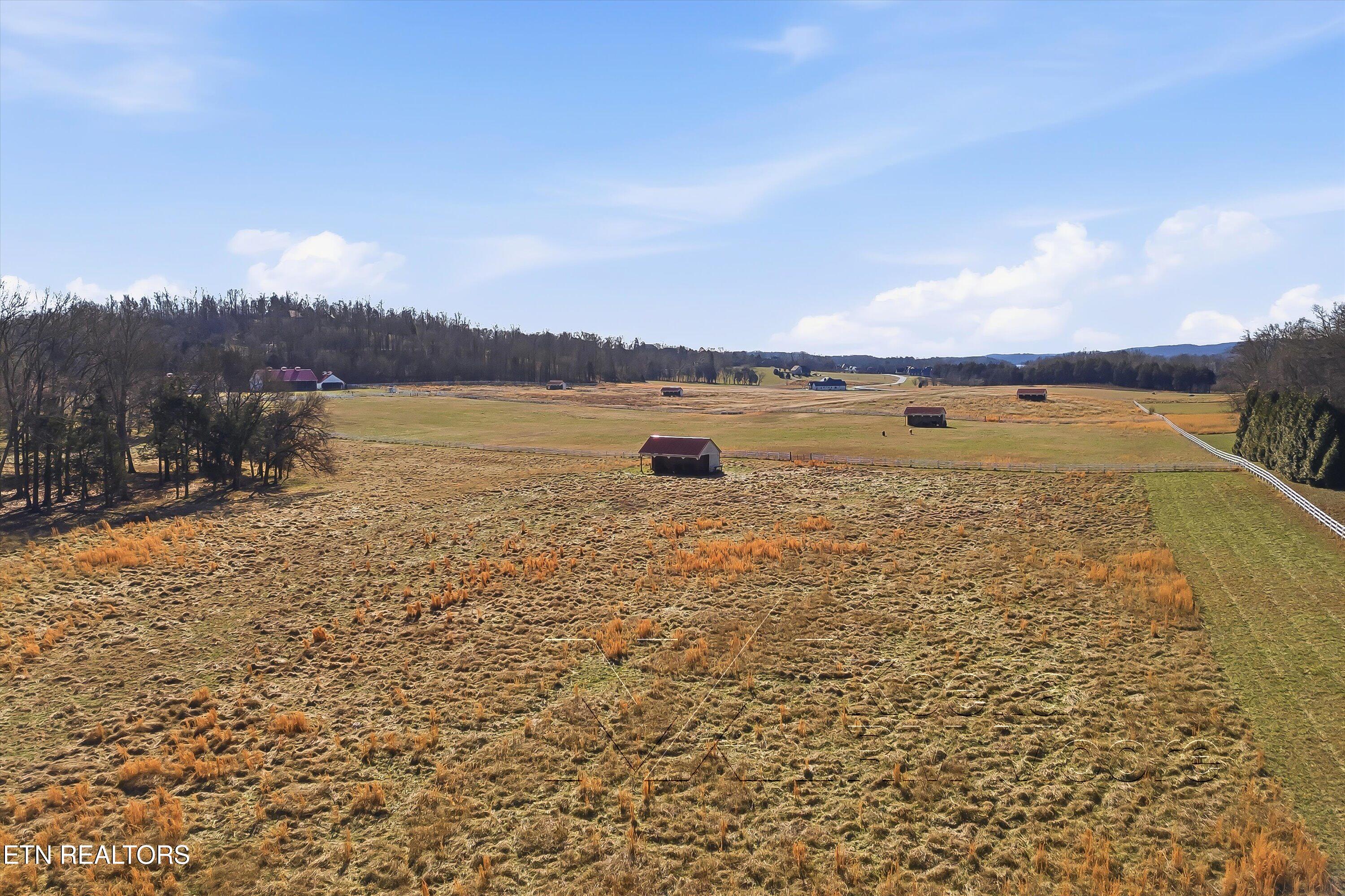 1271 New Hope Road Rockwood, TN 37854 - Photo 33 of 58 40-1271 New Hope Rd-40