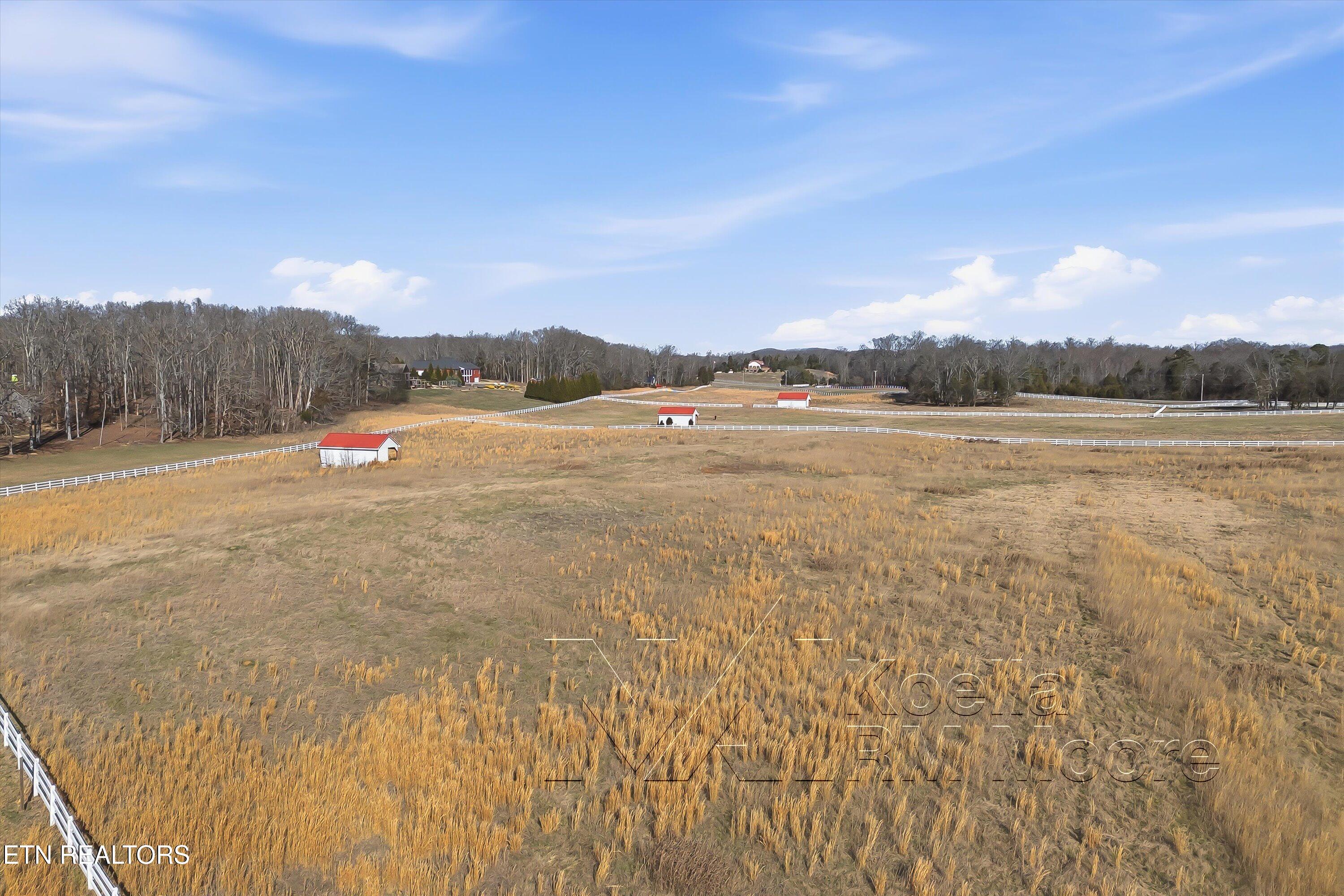 1271 New Hope Road Rockwood, TN 37854 - Photo 35 of 58 42-1271 New Hope Rd-42