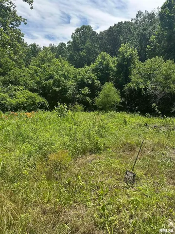 $29,000 | 585 Berryville Road, Jonesboro, IL 62952