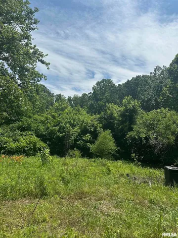 $29,000 | 585 Berryville Road, Jonesboro, IL 62952