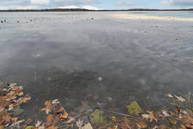 $599,900 | 9407 Koby Lane, Pound, WI 54161