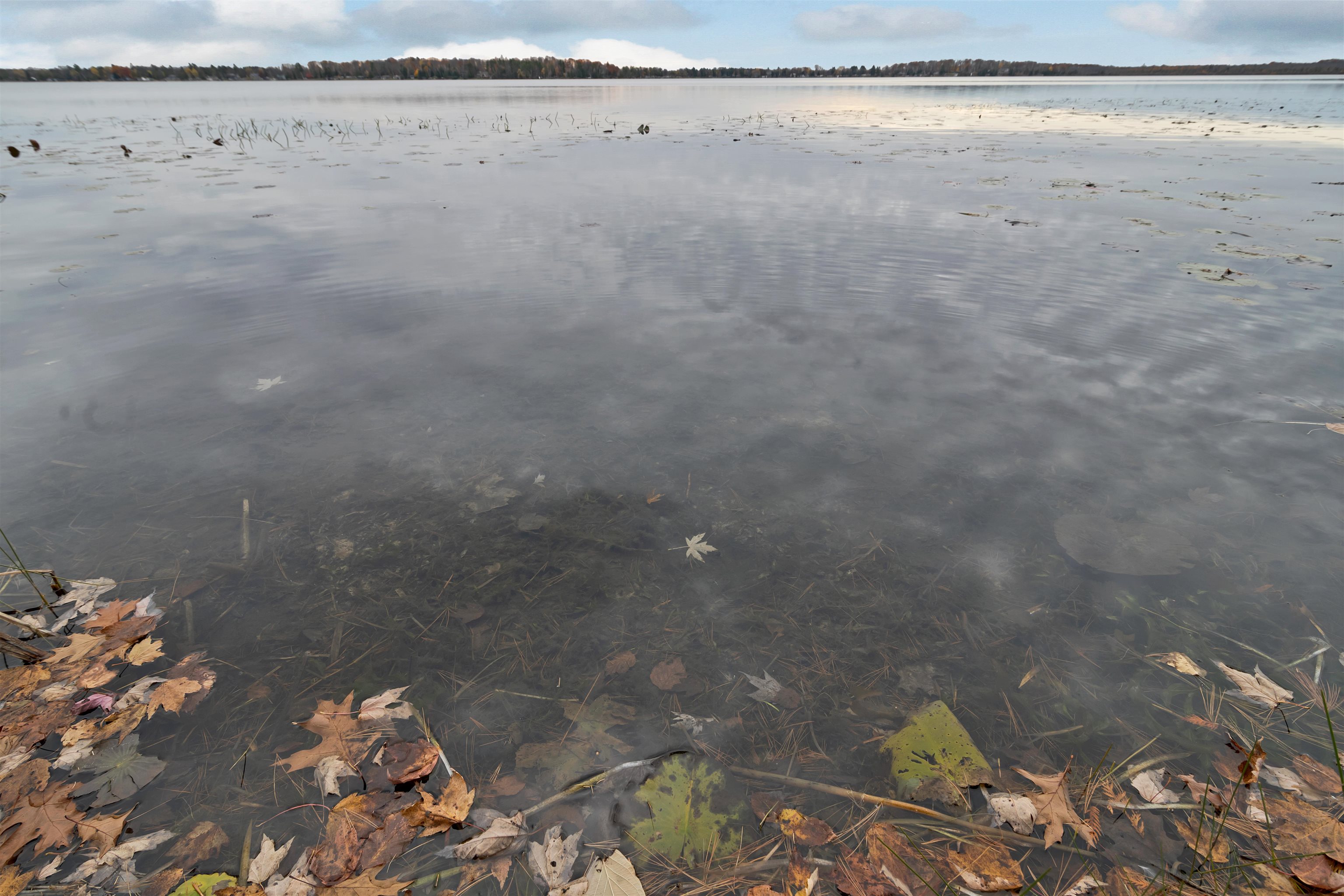 9407 Koby Lane Pound, WI 54161 - Photo 65 of 81