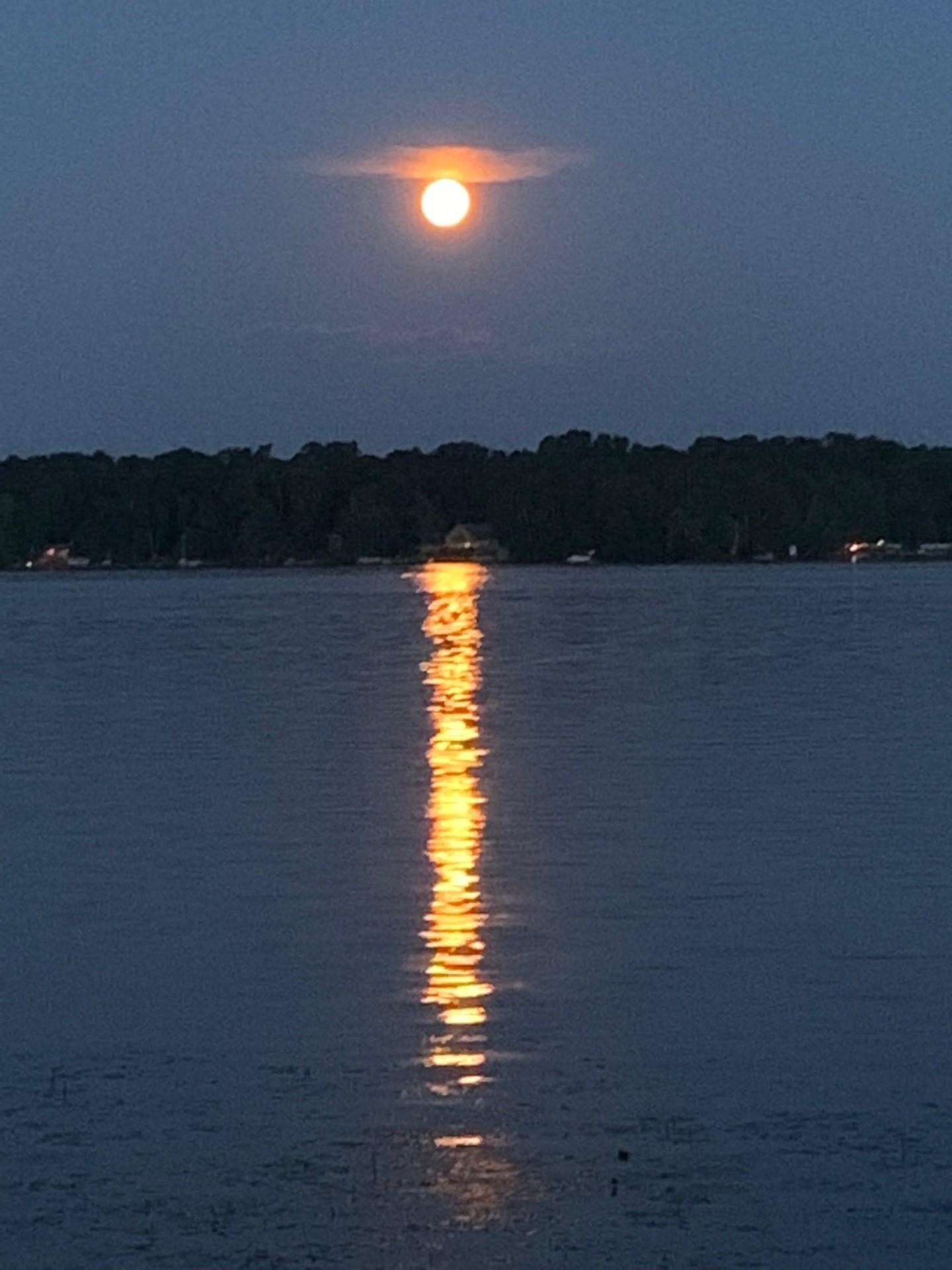 9407 Koby Lane Pound, WI 54161 - Photo 78 of 81