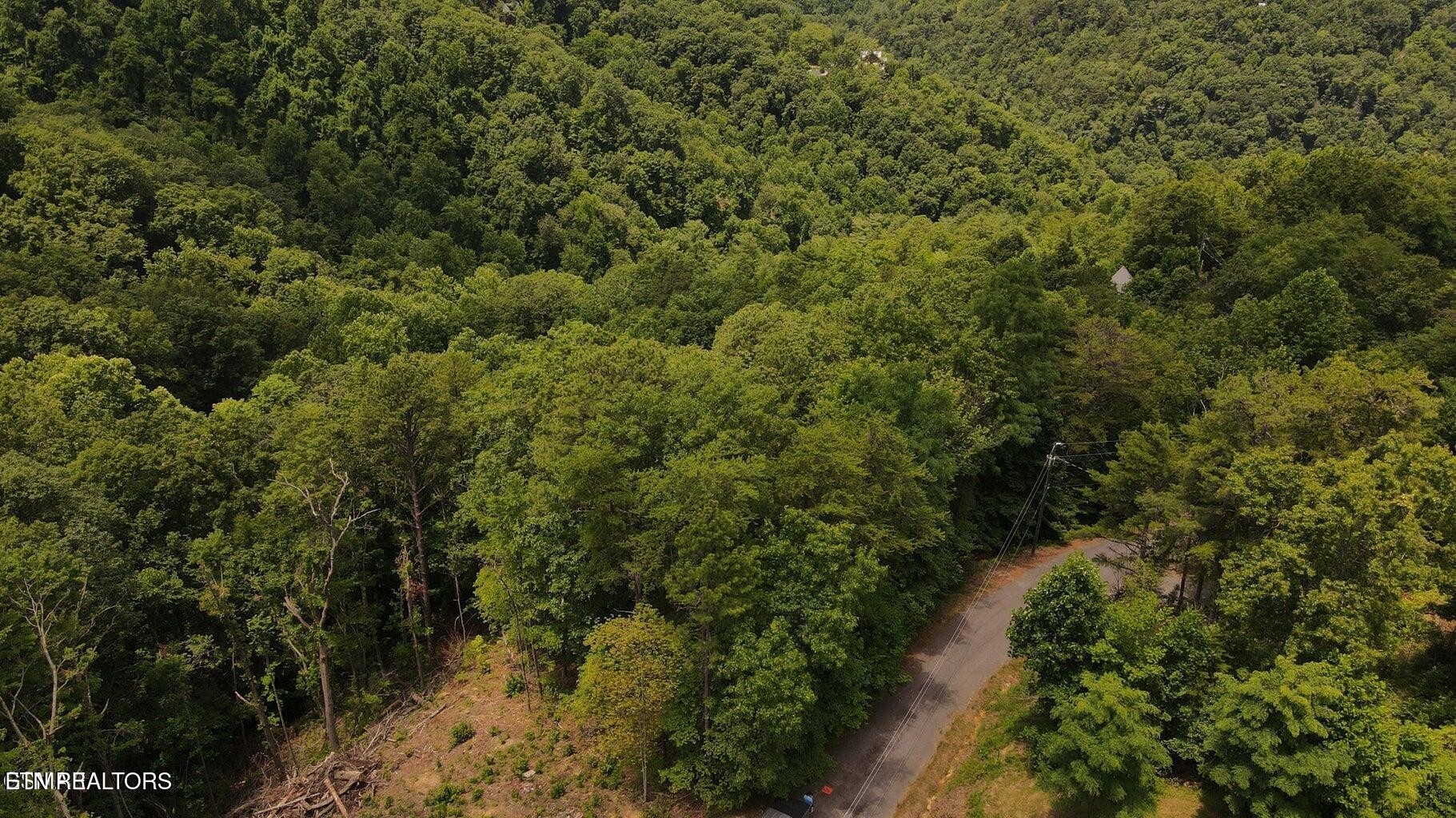 7 Shagbark Hickory Ridge Sevierville, TN 37876 - Photo 7 of 14 Gallery Image 7