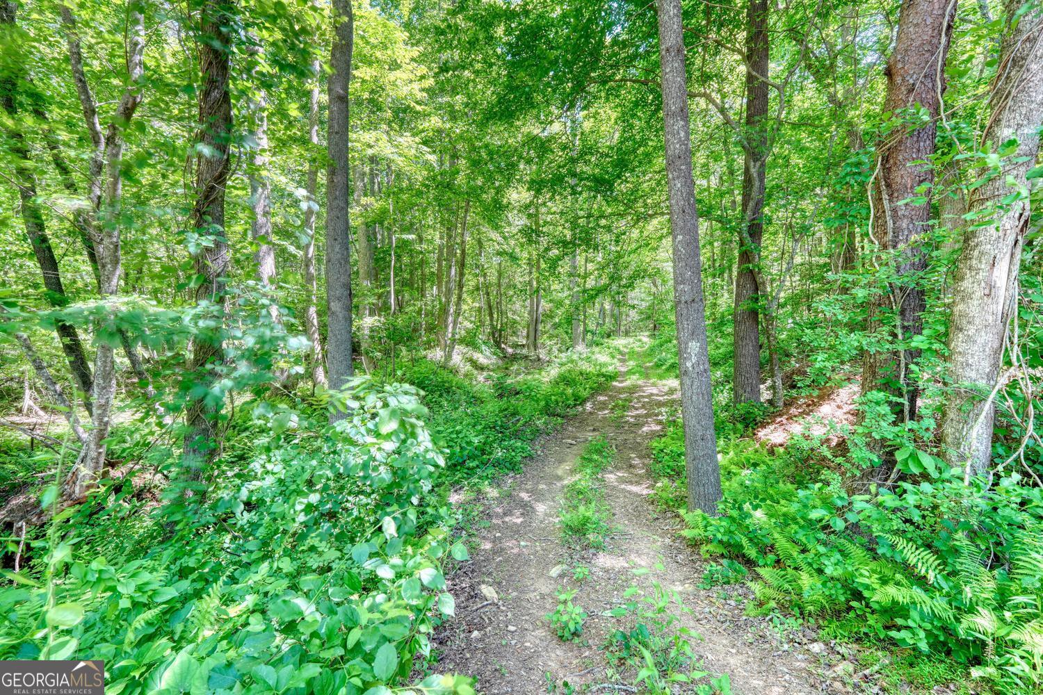 4836 Owltown Road Blairsville, GA 30512 - Photo 73 of 95