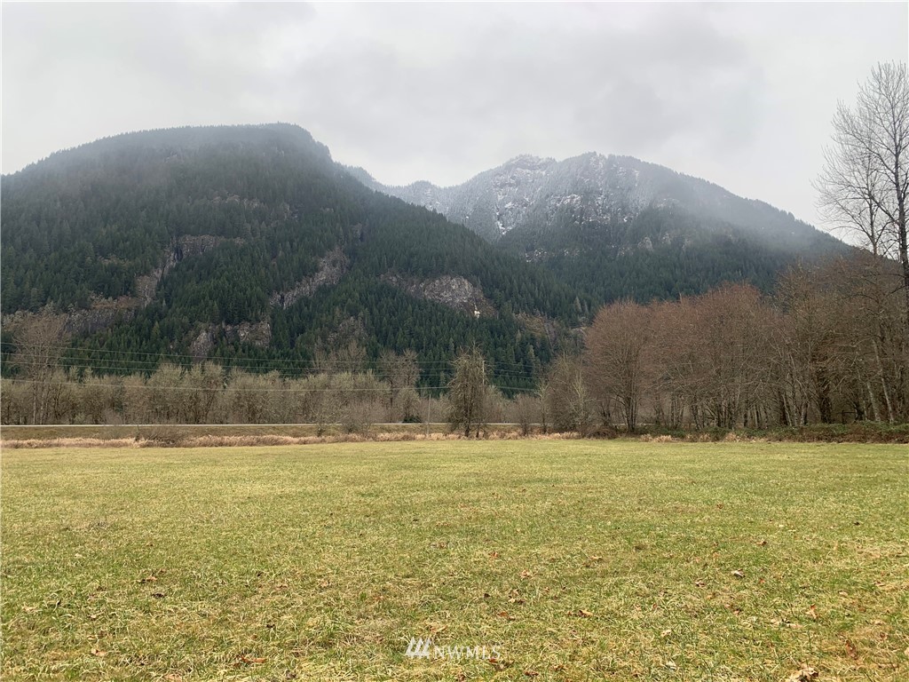 102 Sisbro Road Randle, WA 98377 - Photo 2 of 14 Gallery Image 2