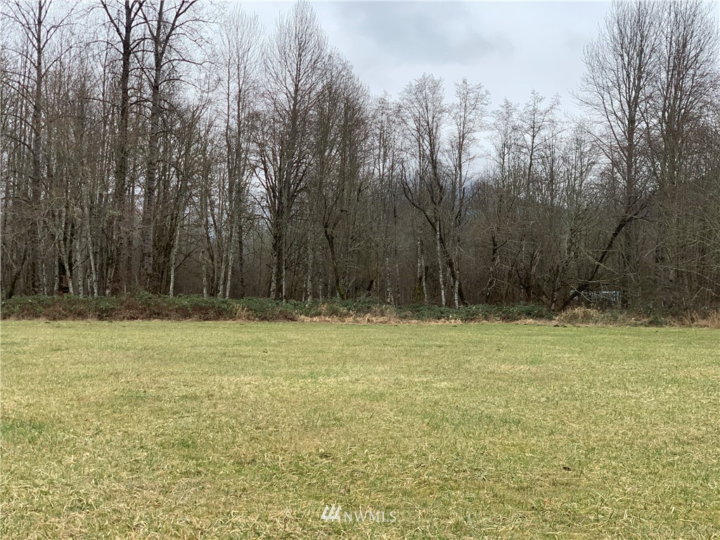 102 Sisbro Road Randle, WA 98377 - Photo 9 of 14 Gallery Image 9
