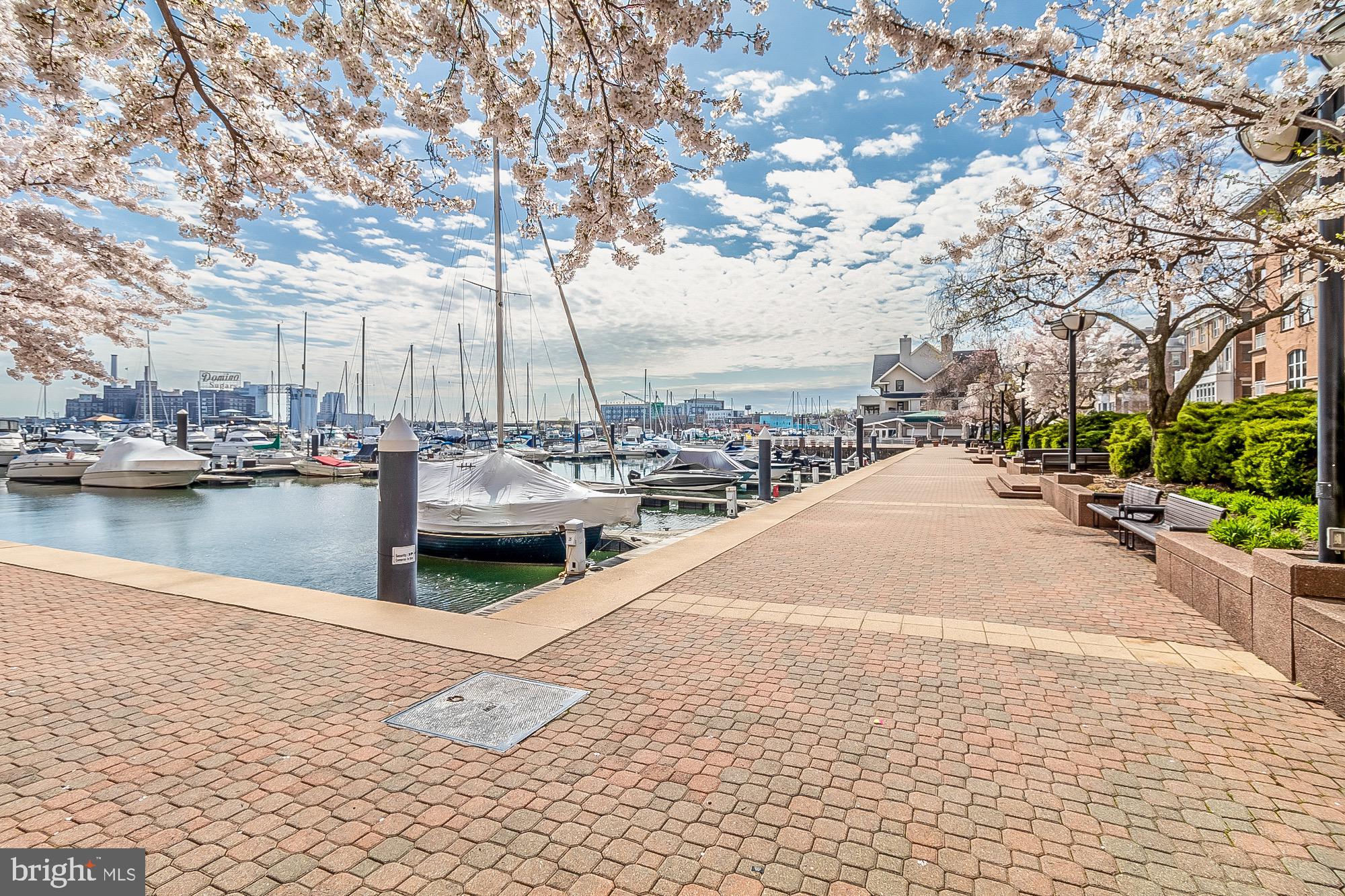 100 Harborview Drive, Unit 1001 Baltimore, MD 21230 - Photo 53 of 64 Steps away from the water