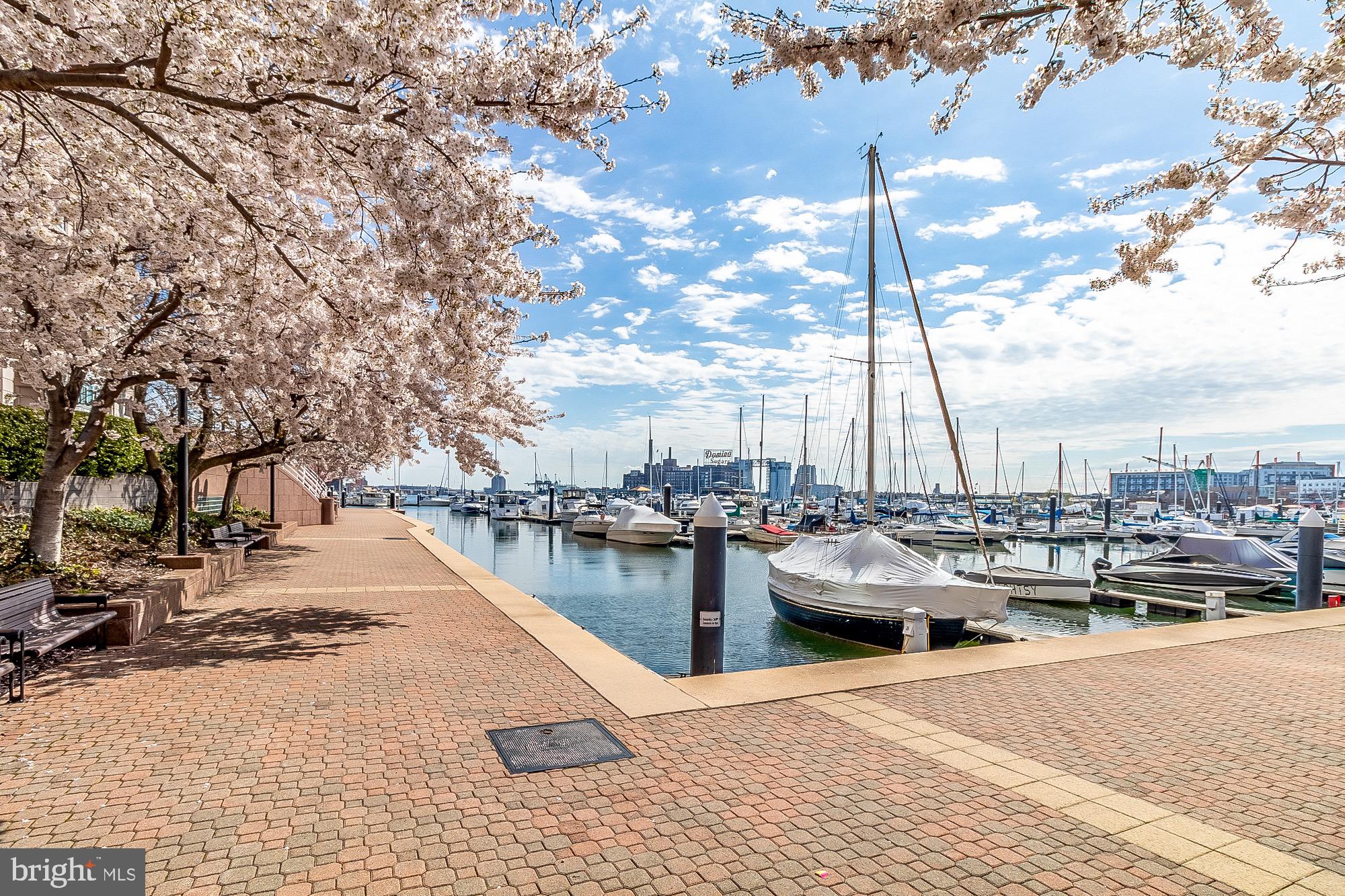 100 Harborview Drive, Unit 1001 Baltimore, MD 21230 - Photo 54 of 64