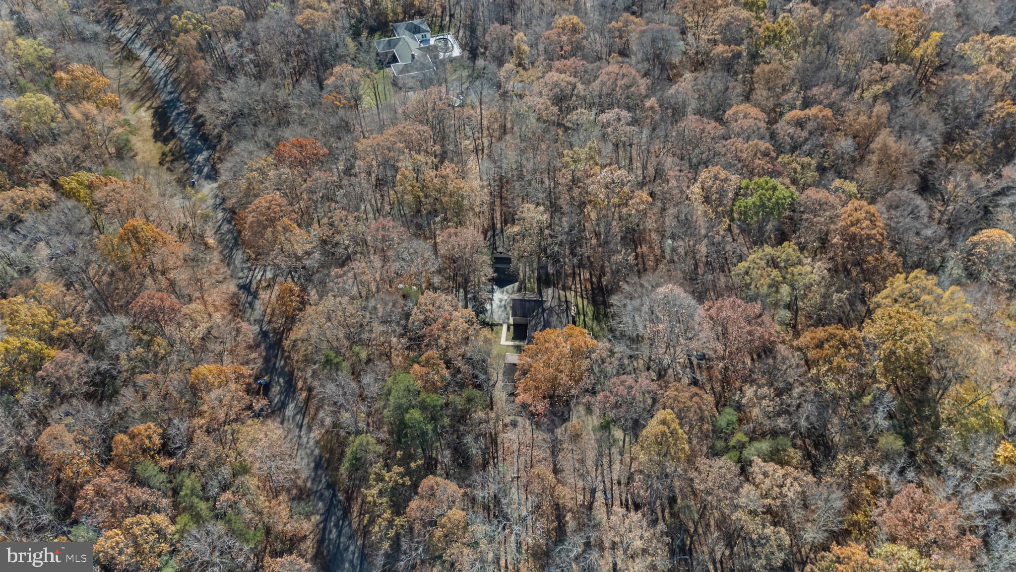 9675 Faith Baptist Church Road White Plains, MD 20695 - Photo 50 of 53 a close up of a tree