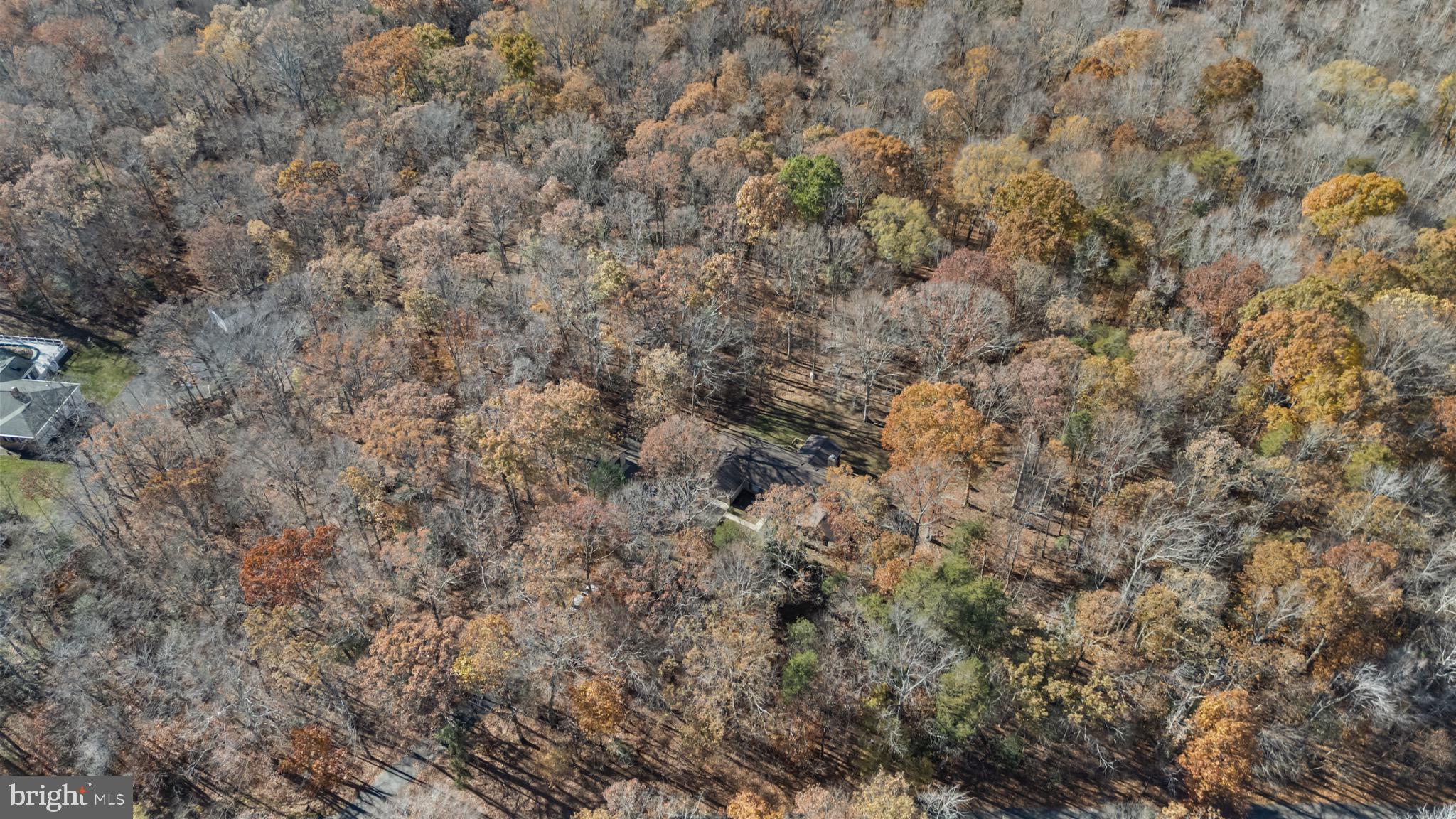 9675 Faith Baptist Church Road White Plains, MD 20695 - Photo 52 of 53 a view of a covered with green space