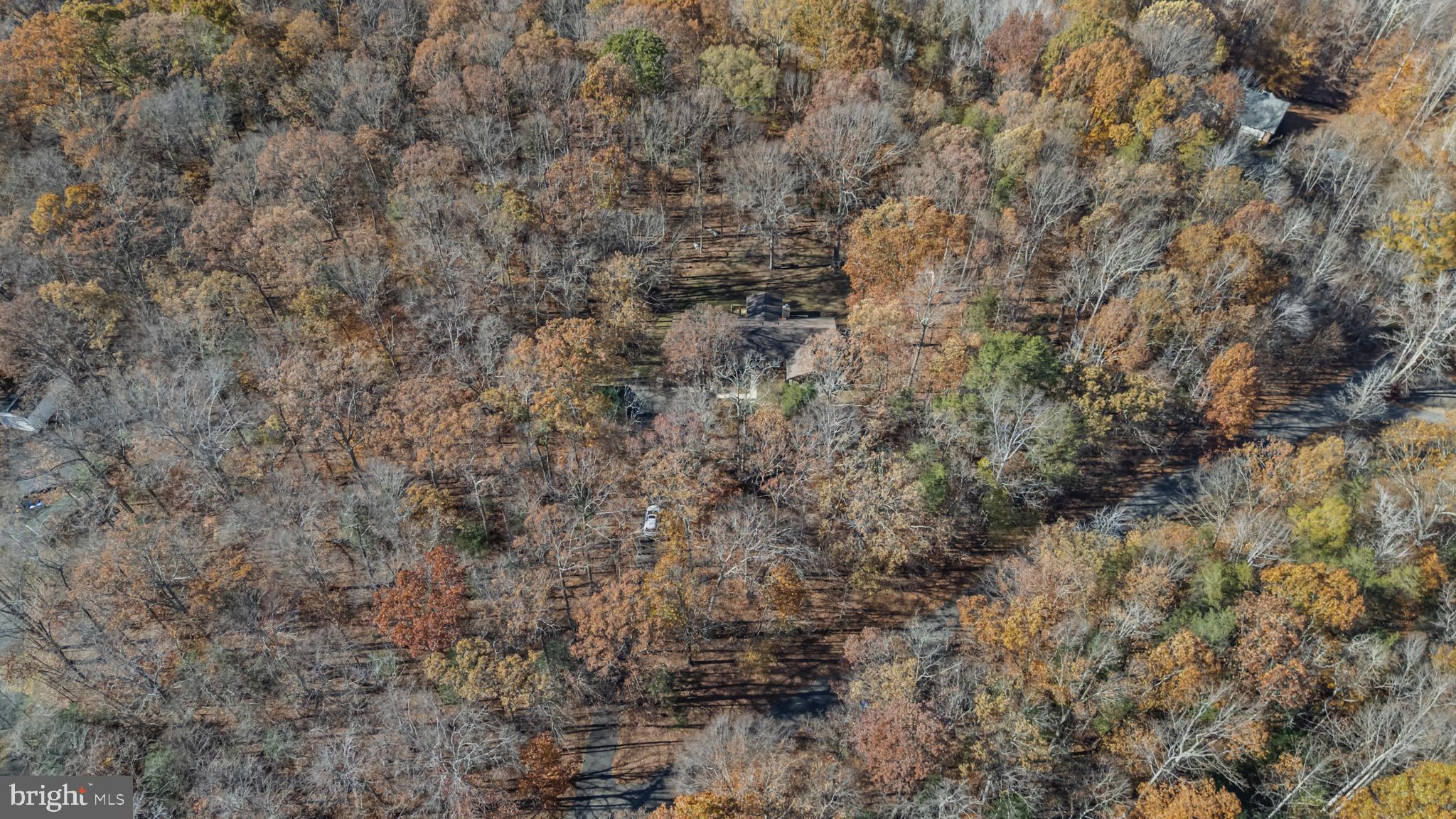 9675 Faith Baptist Church Road White Plains, MD 20695 - Photo 53 of 53 a close up of a tree