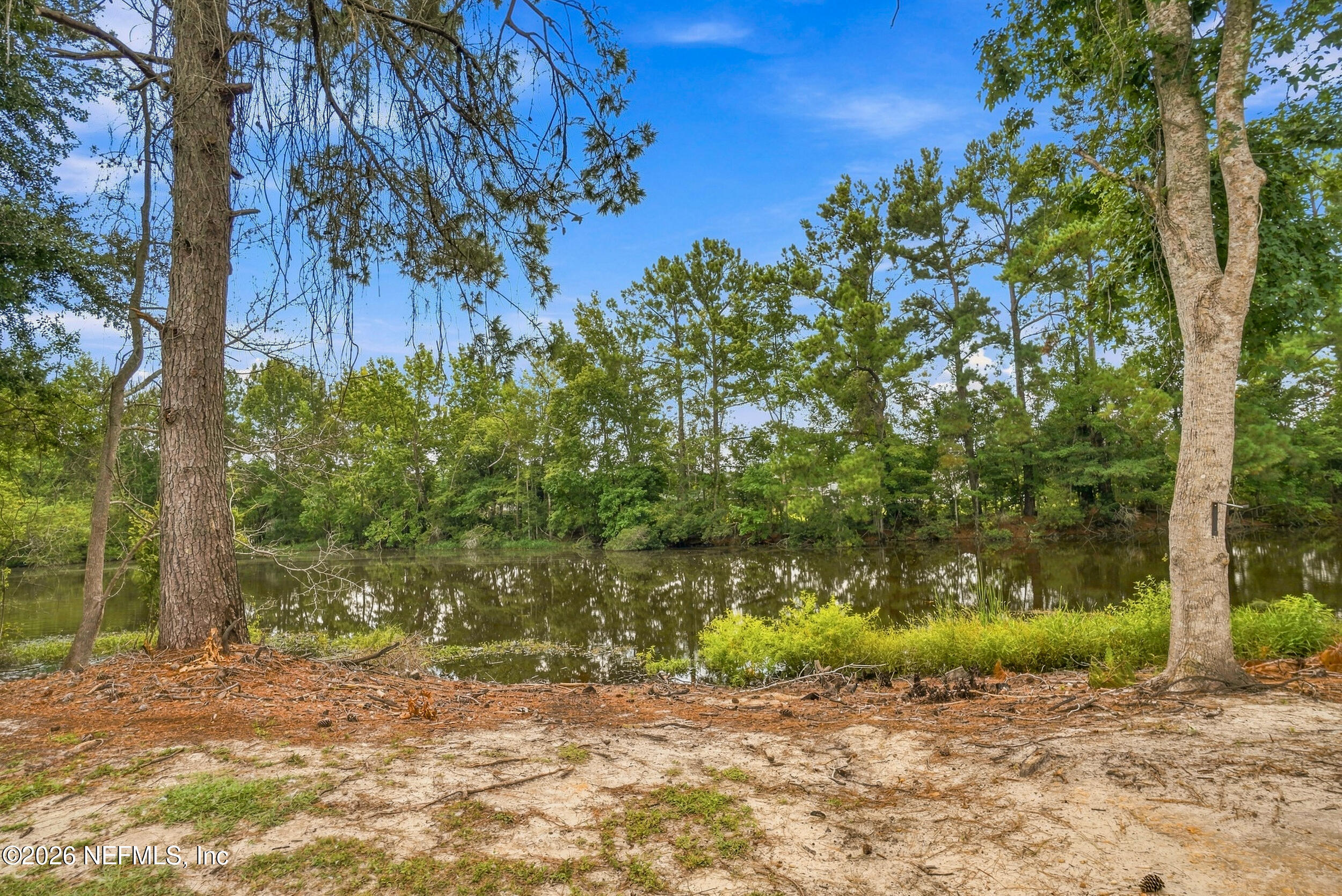 11674 Bridges Road Jacksonville, FL 32218 - Photo 22 of 30 22_Backyard