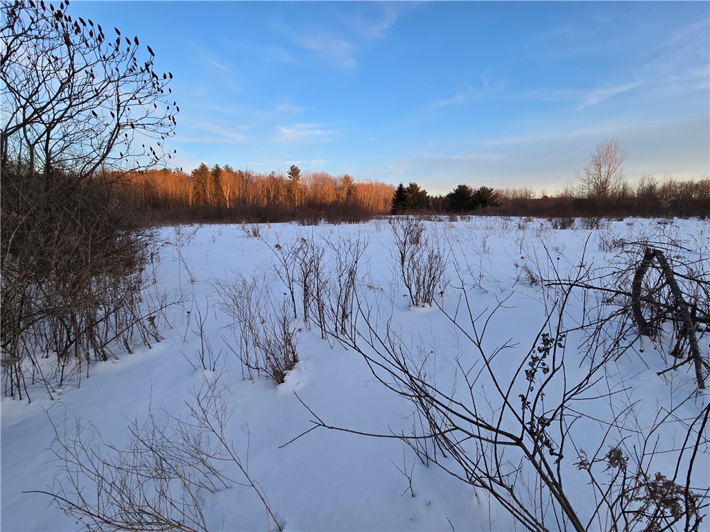 Lot 119 Corbin Hill Road Fultonville, NY 12072 - Photo 2 of 9