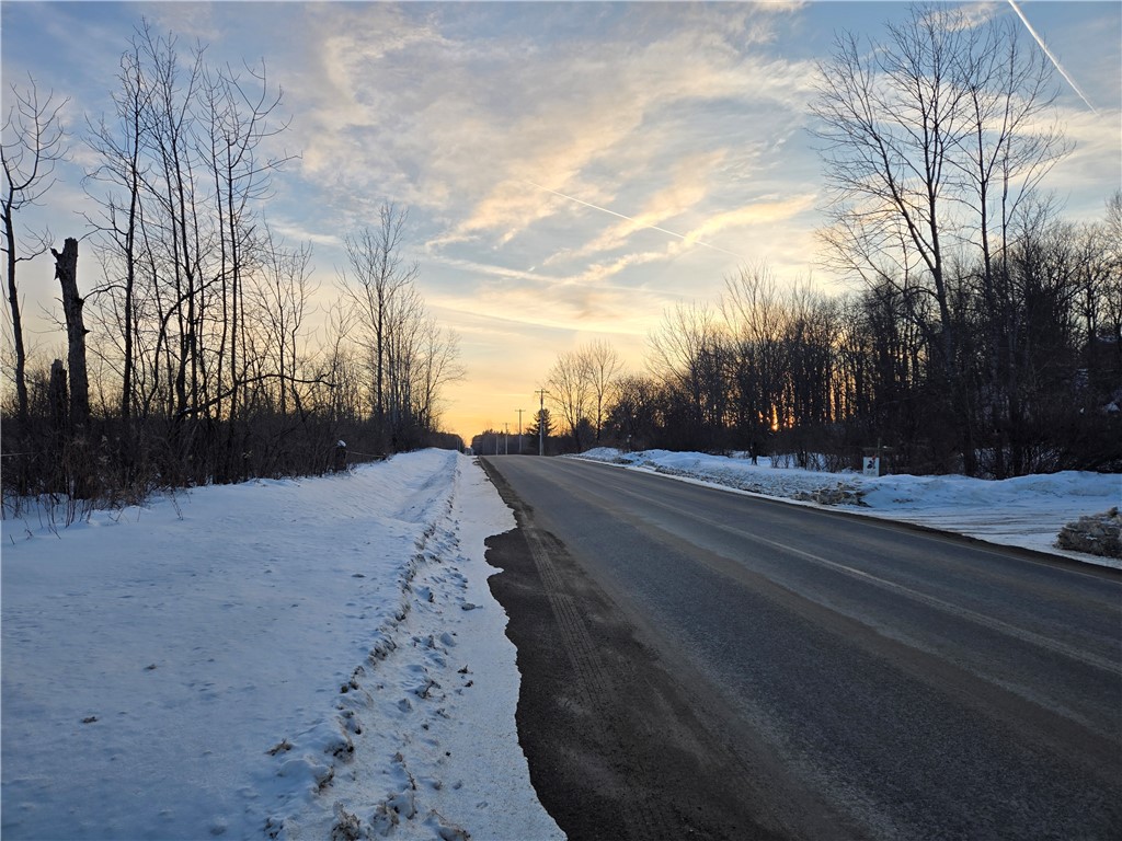 Lot 119 Corbin Hill Road Fultonville, NY 12072 - Photo 3 of 9