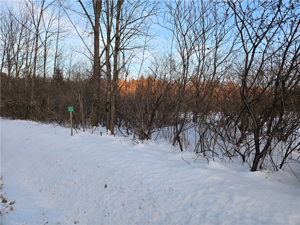 Lot 119 Corbin Hill Road Fultonville, NY 12072 - Photo 7 of 9