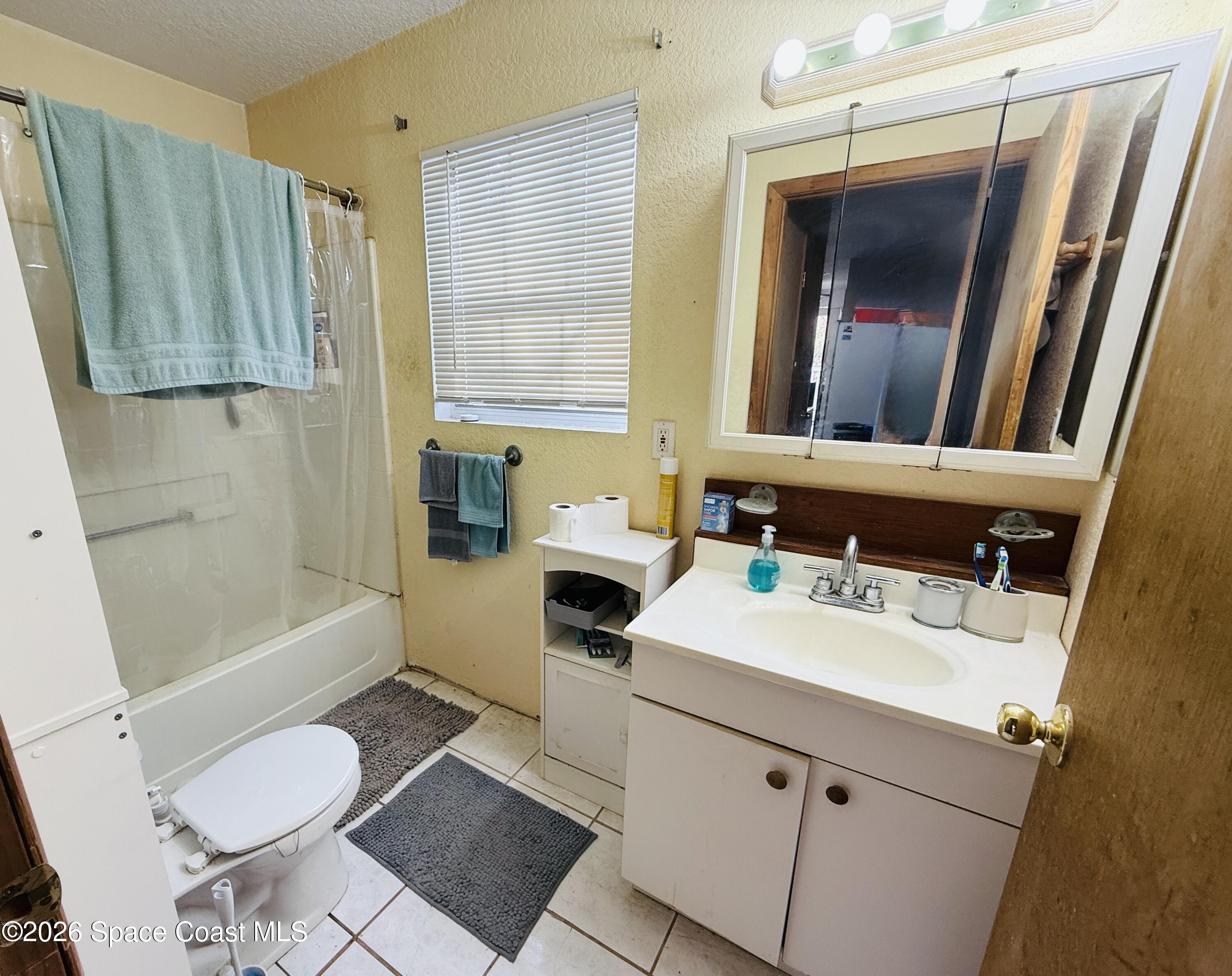 4590 Hog Valley Road Mims, FL 32754 - Photo 17 of 29 a bathroom with a sink toilet a mirror and shower