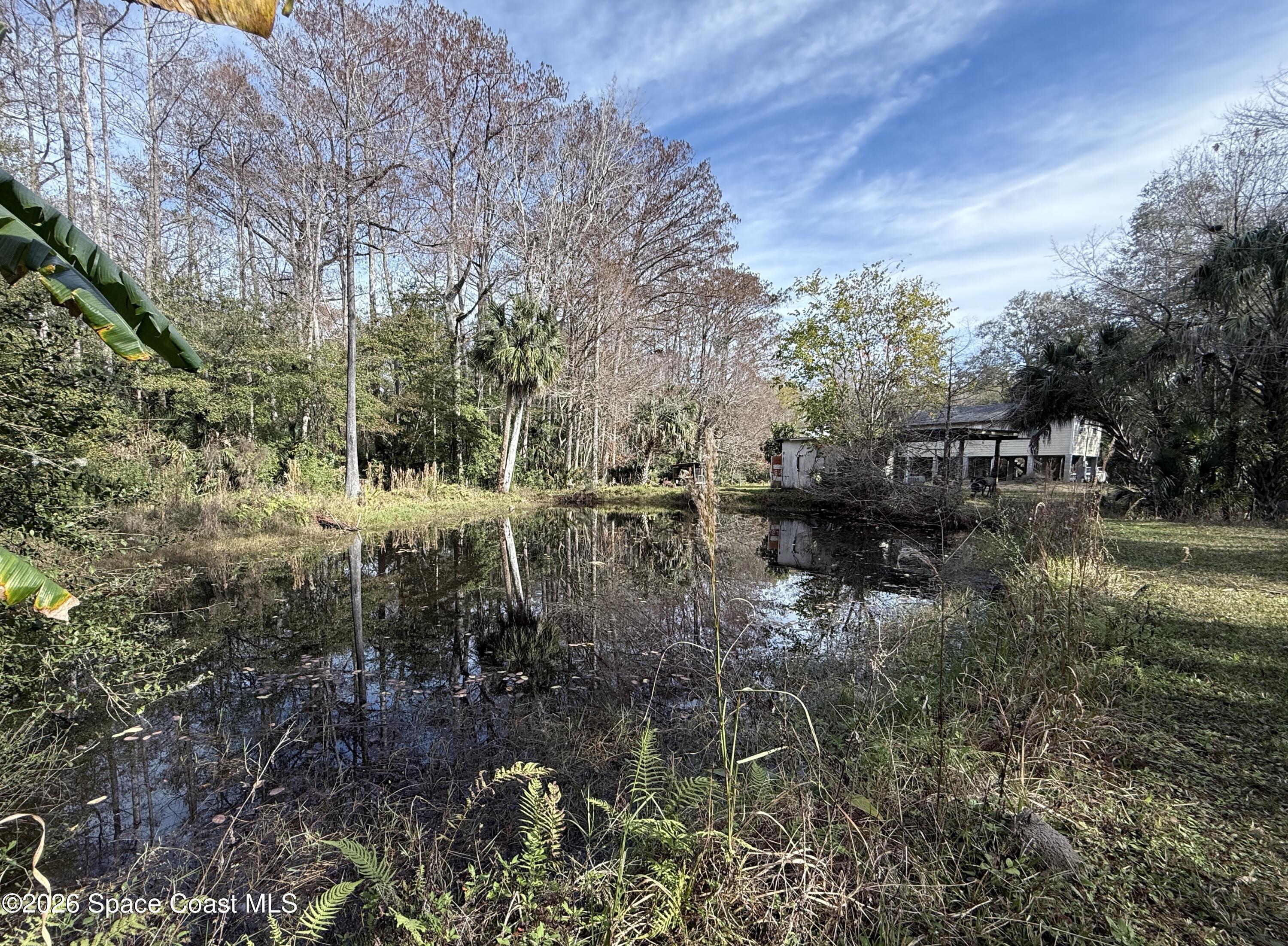 4590 Hog Valley Road Mims, FL 32754 - Photo 24 of 29 a view of outdoor space yard and lake view