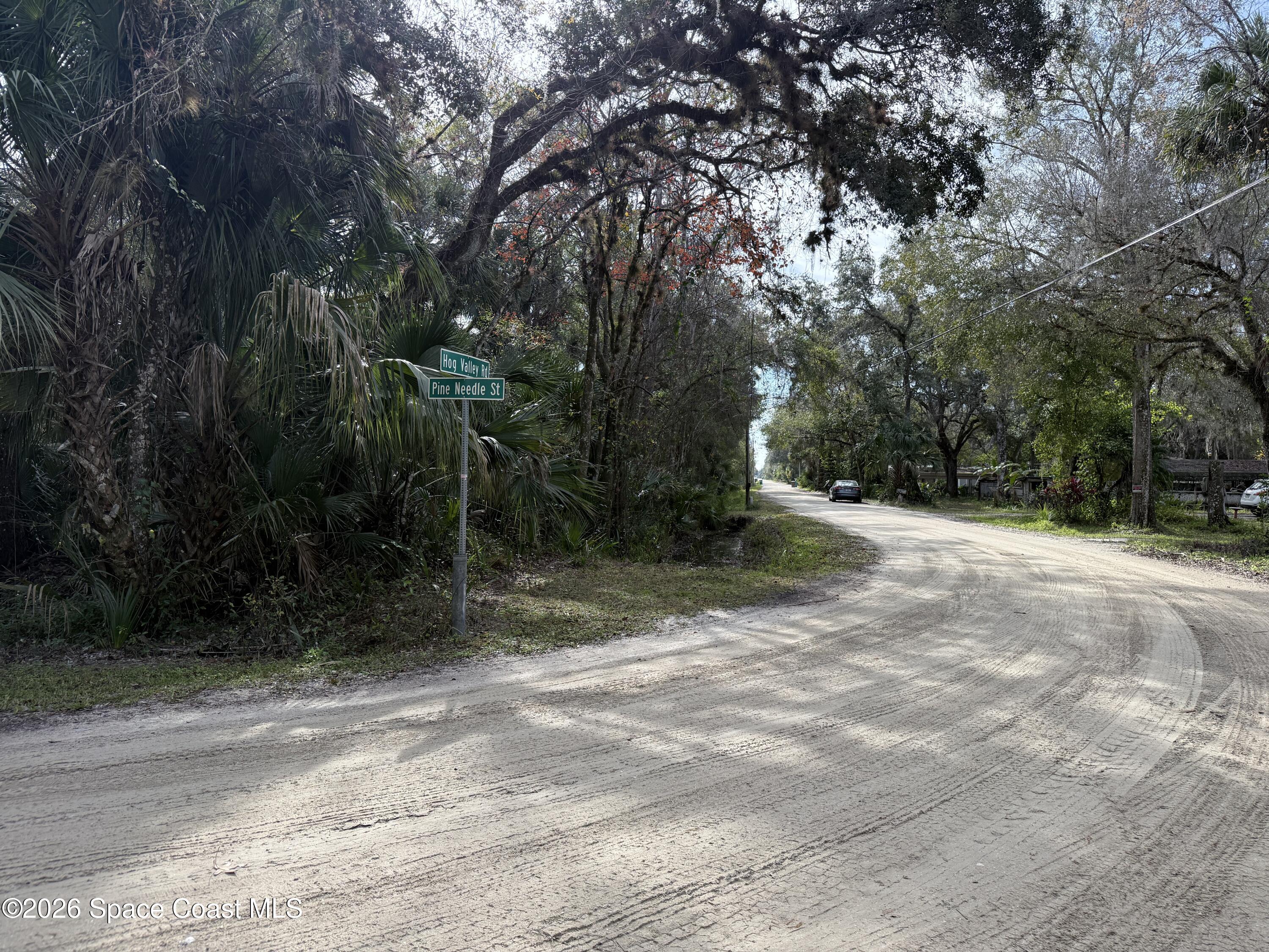 4590 Hog Valley Road Mims, FL 32754 - Photo 28 of 29 a view of a field with trees in the background
