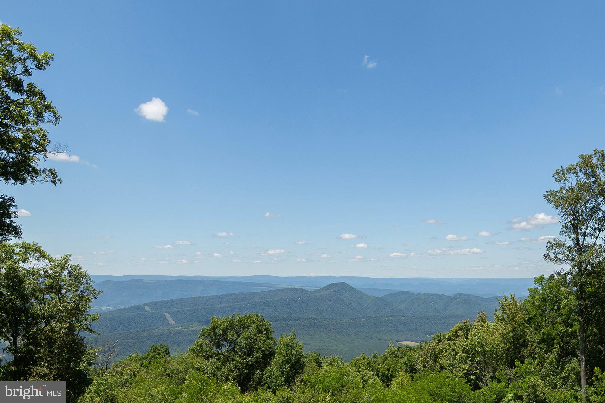 5982 South Branch Mountain Road Moorefield, WV 26836 - Photo 59 of 141