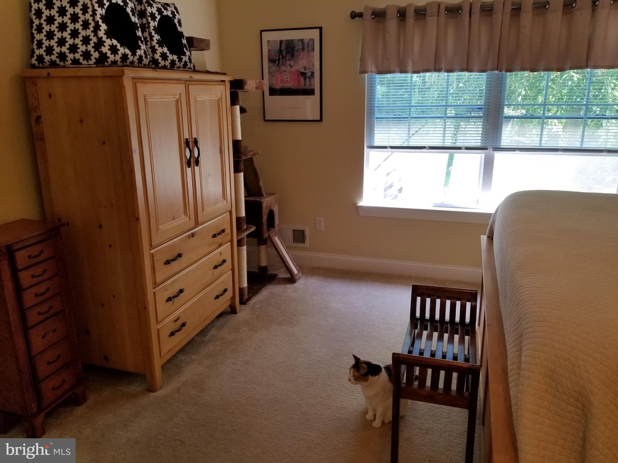 28 Heals Farm Road, Unit 28 Burlington, NJ 08016 - Photo 23 of 29 Gallery Image 23