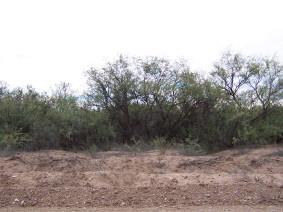 1585 South Astronomers Road Benson, AZ 85602 - Photo 2 of 3 Gallery Image 2