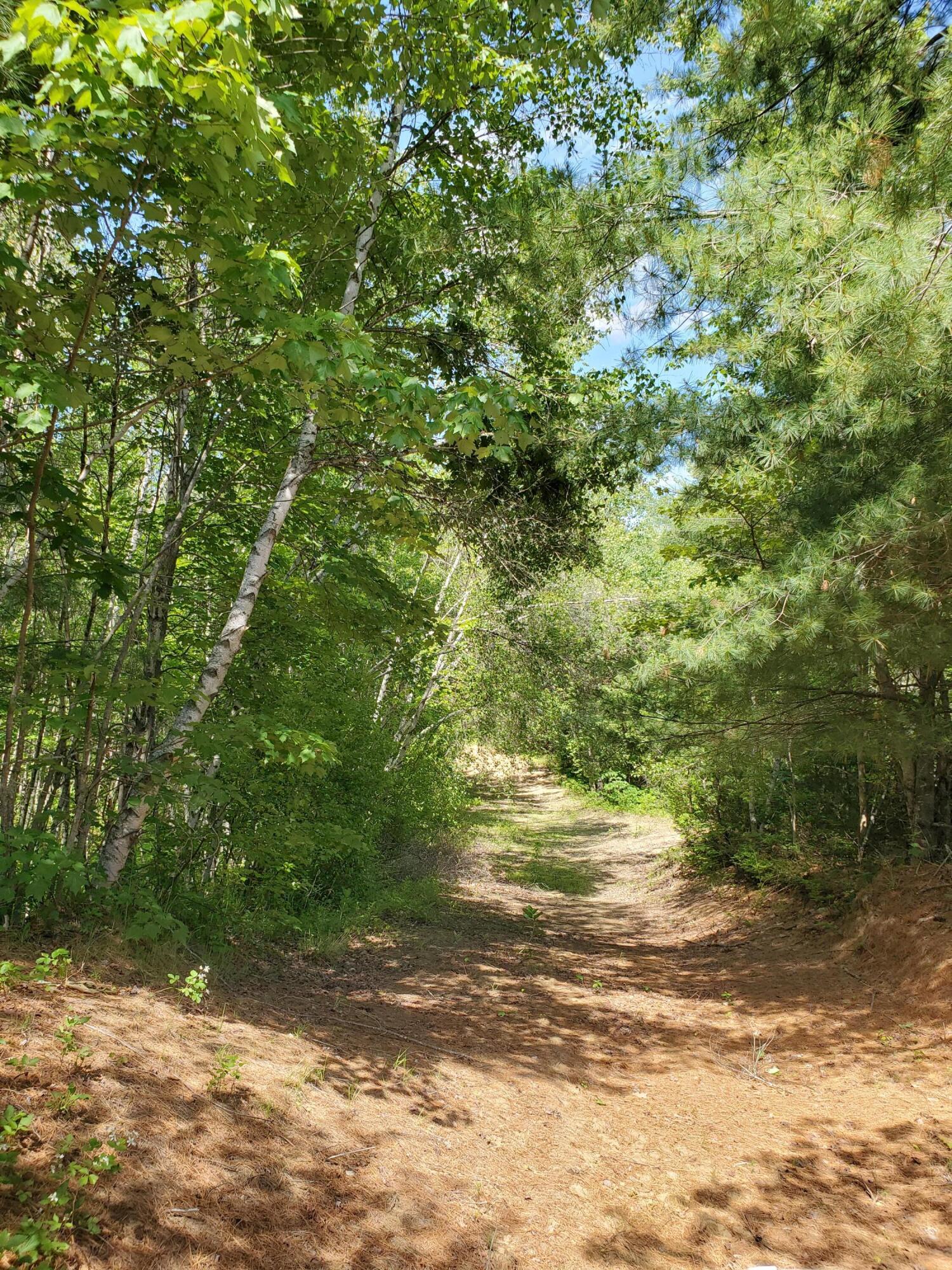 593 Bishop Hill Road Leeds, ME 04263 - Photo 55 of 62 20210617_151309