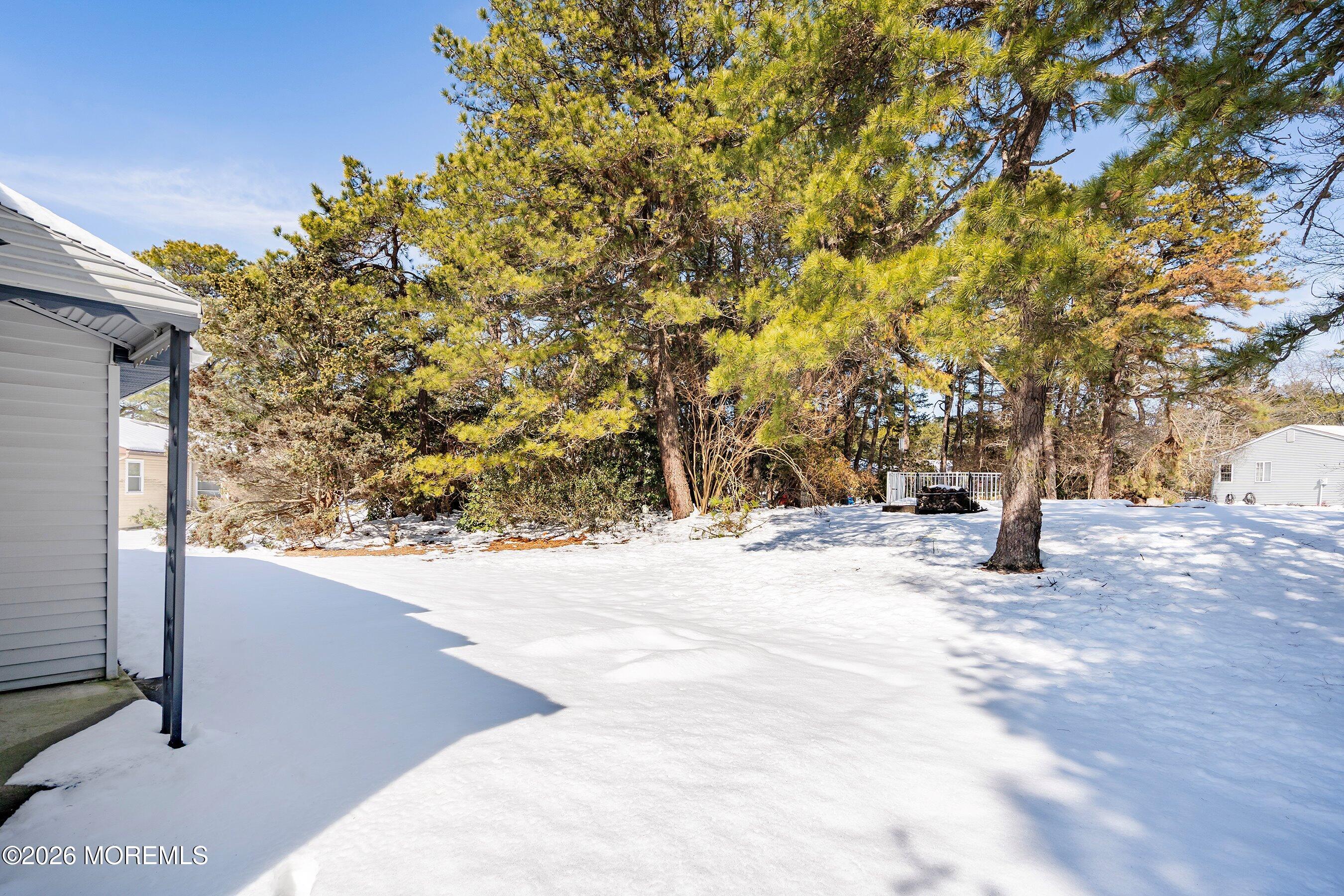14 Medford Road, Unit 61 Whiting, NJ 08759 - Photo 18 of 36 a road view with large trees