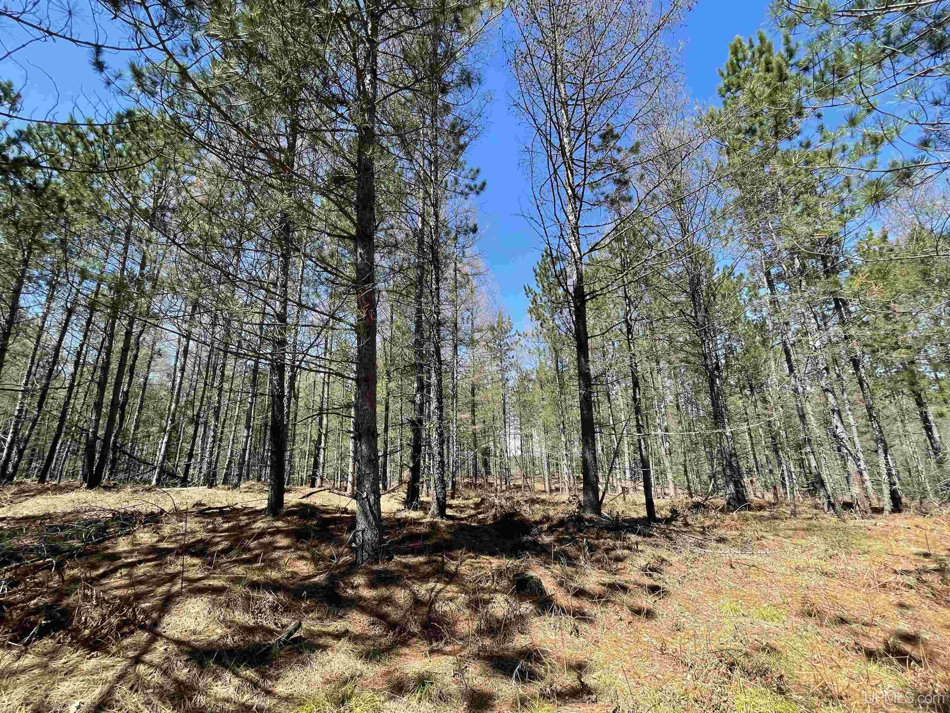 90 Rd Hermansville Mi 49847 Road Perronville, MI 49873 - Photo 14 of 21