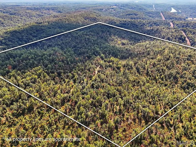 $319,900 | Undisclosed Address, Eminence, MO 65466