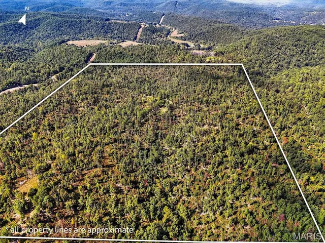 $556,500 | Undisclosed Address, Eminence, MO 65466