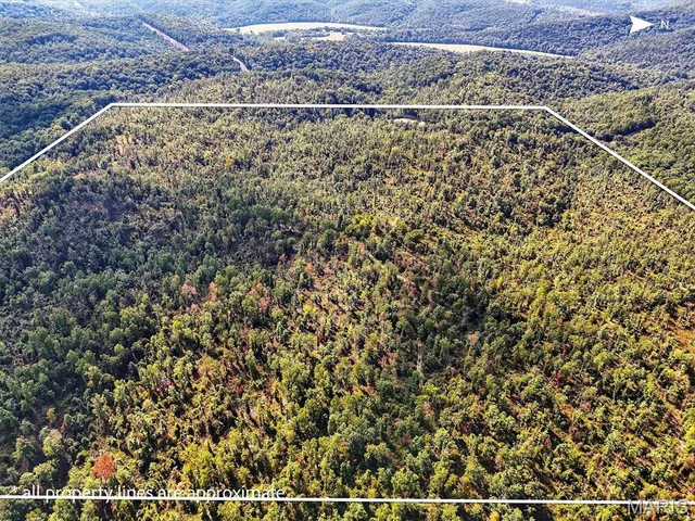 $319,900 | Undisclosed Address, Eminence, MO 65466