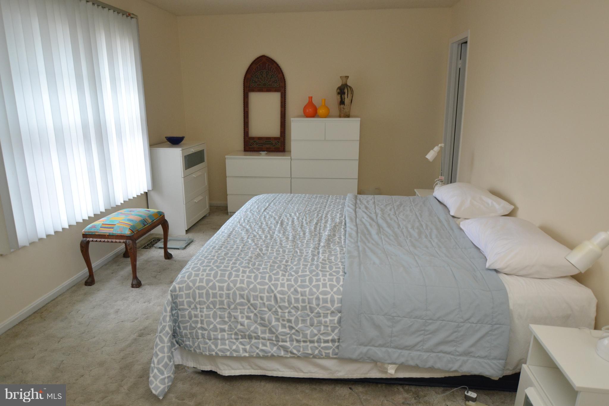 919 South Rolfe Street, Unit B Arlington, VA 22204 - Photo 11 of 23 Master bedroom with full bath