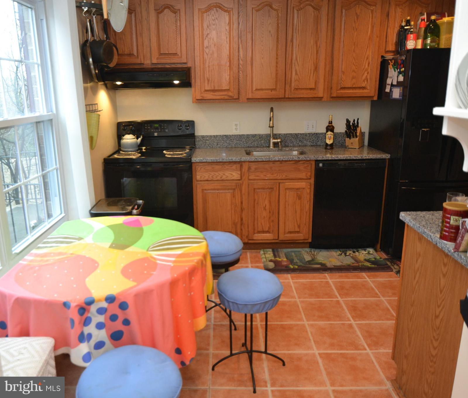 919 South Rolfe Street, Unit B Arlington, VA 22204 - Photo 5 of 23 Granite counters Ceramic tile flooring