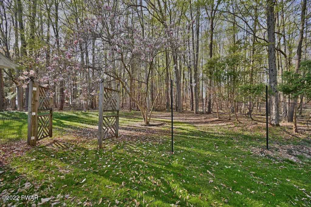537 Torrey Road Honesdale, PA 18431 - Photo 67 of 79 Beautiful Trees - Enjoy Nature