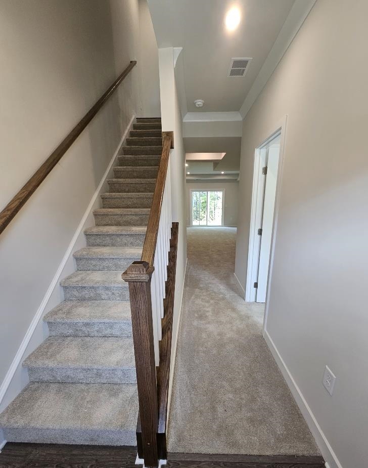 303 Golan Circle Myrtle Beach, SC 29579 - Photo 10 of 32