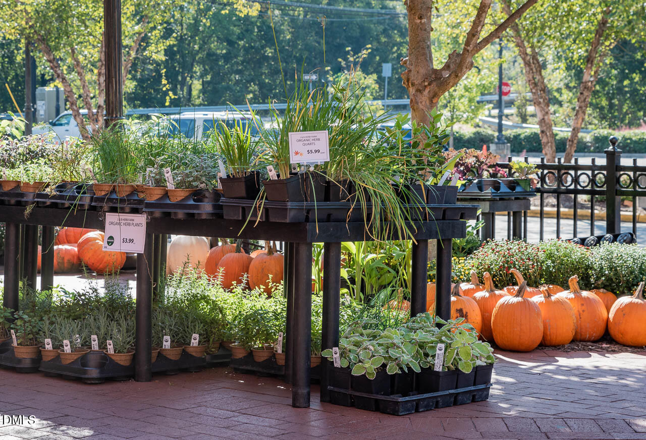 2100 Black Walnut Farm Road Hillsborough, NC 27278 - Photo 66 of 71 Hillsborough Farmers Market